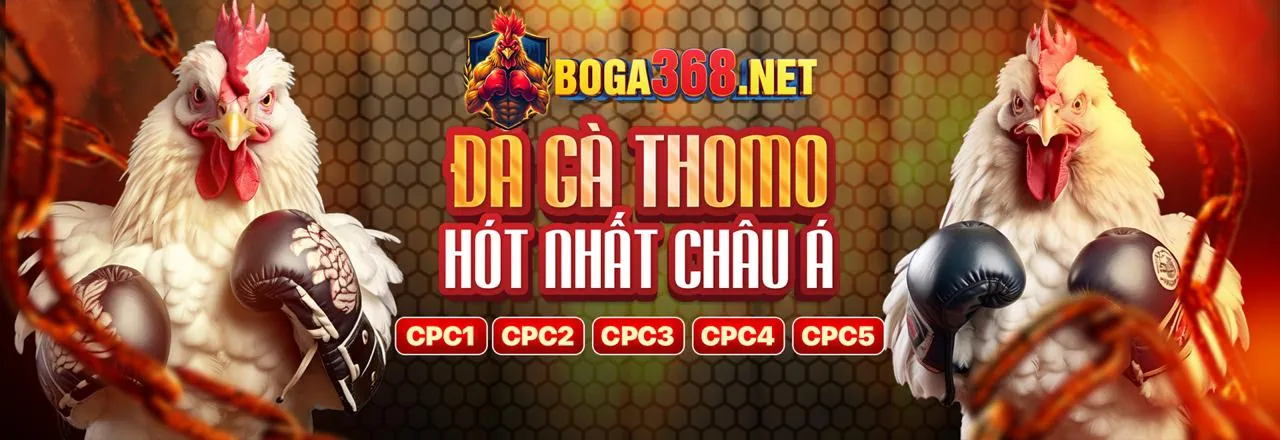 Đá gà trực tuyến K188